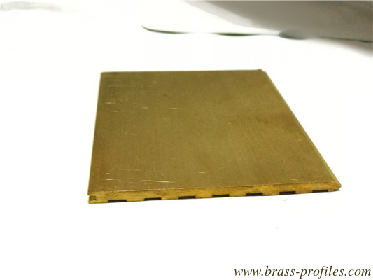 67 mm C360 BRACE FLAT BAR Profile mit einer Länge von 95 mm fournisseur