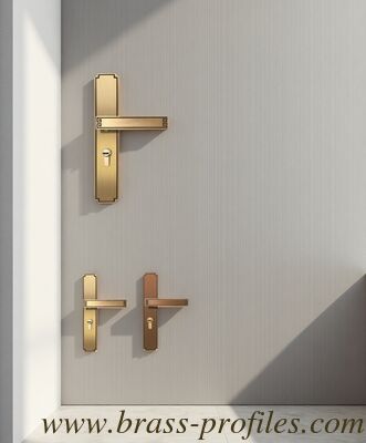 220 x 49 mm Massivmessing geschmiedet Kupfersperre mit Schließkern der Klasse A und mehreren Schließoptionen, die mit Holztüren und Metalltüren kompatibel sind fournisseur