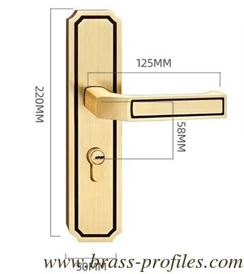Kupferverschluss (Mortise Lock) mit Massivlastenzylinder und geschmiedeter Vorderplatte Ideal für Holz- und Metalltüren der Klasse A fournisseur
