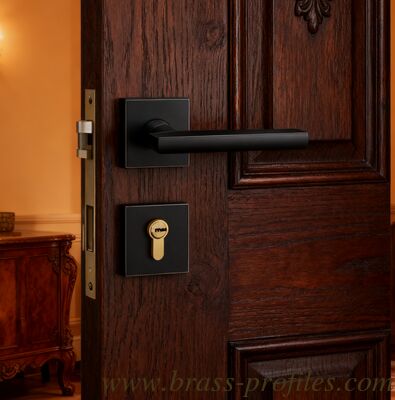 Copper Lock solid brass forged dummy lock with grade A lock core suitable for wooden and metal doors and multiple mortise lock options fournisseur